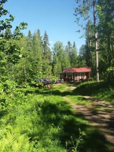 a cabin in the middle of a field with trees at Cottage / Mökki, unique summer cottage in Vihti