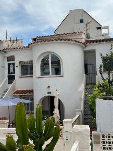 Uma casa branca com um cacto à frente. em Apartamento cerca de la playa em Denia