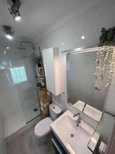 uma casa de banho com um WC, um lavatório e um chuveiro em Apartamento cerca de la playa em Denia