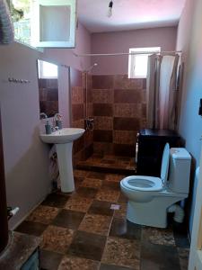 a bathroom with a toilet and a sink at Guest House Temi In Gudani 