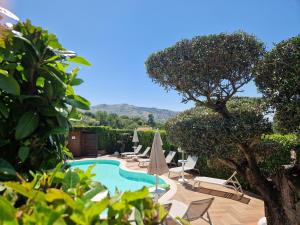 una piscina con sillas y sombrillas en un patio en B&B Artemide, en Agropoli