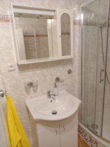 Kúpeľňa v ubytovaní Apartmány Ilona