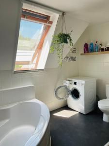 a bathroom with a toilet and a washing machine at Klebi’s apartmanház in Balatonföldvár