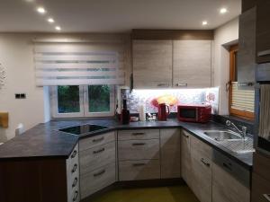 A kitchen or kitchenette at Apartment Schwarzindien