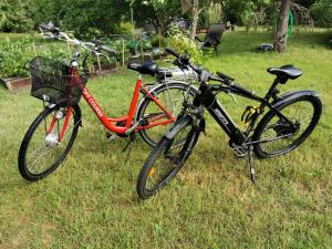 zwei Fahrräder, die nebeneinander im Gras geparkt sind in der Unterkunft Rynge teaters boningshus in Ystad
