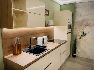 Kuchyň nebo kuchyňský kout v ubytování Apartmány Petr Vok