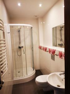 a bathroom with a shower and a toilet and a sink at Villa Veell - tylko 4 minuty od pięknej szerokiej plaży in Pobierowo +118 photos