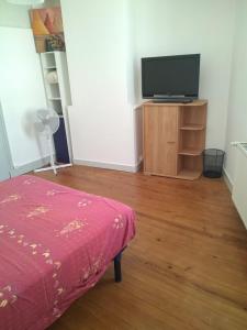 a living room with a television and a wooden floor at gîte 4 chambres à Cognac in Cognac +15 photos