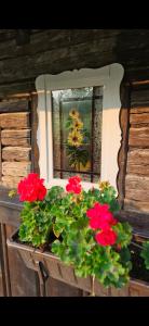 una ventana con una maceta de flores rojas y un espejo en Drevenica Borovianka en Veľké Borové