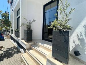 uma casa com uma porta preta e alguns vasos de plantas em Ostria Hotel em Saranda