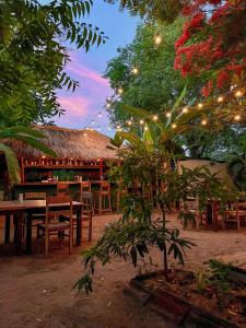 Waypoint Arugam Bay في آروغام باي: مطعم بطاولة وكراسي واضاءة