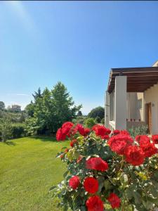 A garden outside Grand Afroditi LUX