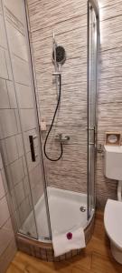 eine Dusche mit Glastür im Bad in der Unterkunft Apartman Rabatin in Sveti Filip i Jakov
