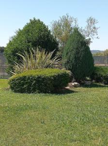dos arbustos en un patio con césped y una valla en Grand Afroditi LUX en Pýrgos