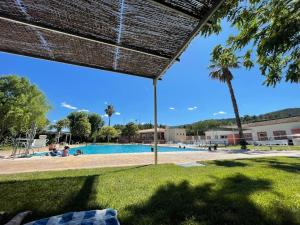 Jalance的住宿－Sapphire rural apartment in Valle de Ayora，一座棕榈树环绕的游泳池