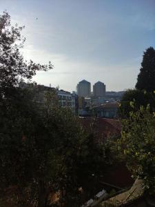 a view of a city with buildings and trees at Our flat is located in Beşiktaş Square. in Istanbul
