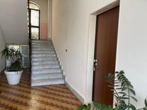 a staircase in a building with a potted plant at Manfredi Apartments in Torre Annunziata +60 photos