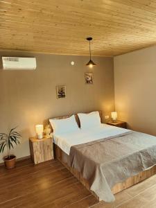 Mountain View في لاجوديخي: غرفة نوم بسرير كبير وسقف خشبي