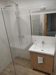 y baño con ducha y lavamanos. en Apartament Górka Zdrój en Busko-Zdrój