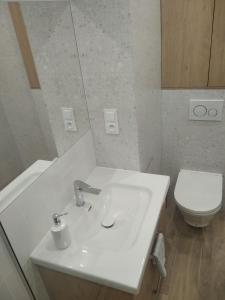 een badkamer met een witte wastafel en een toilet bij Apartament Górka Zdrój in Busko-Zdrój