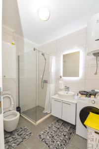 Koupelna v ubytování Apartman Darija 3 + 34 fotografií