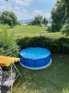 The swimming pool at or close to Danube River house
