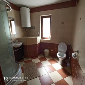 a bathroom with a toilet and a sink and a shower at Domki pod Honem w Cisnej in Cisna +19 photos