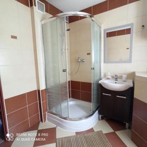 a bathroom with a shower and a sink at Domki pod Honem w Cisnej in Cisna