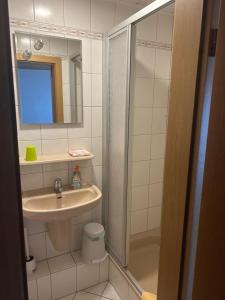 een kleine badkamer met een wastafel en een douche bij Bed and Breakfast - Rheingauer Hof in Oestrich-Winkel