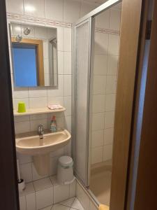 a small bathroom with a sink and a shower at Bed and Breakfast - Rheingauer Hof in Oestrich-Winkel