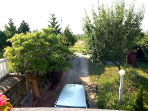 Taman di luar Apartmani Ćosić