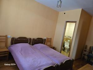 Photo de la galerie de l'établissement Guest house T/S in Lagodekhi / khizabavra, à Khizabavra