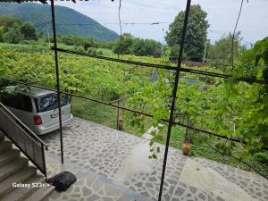 Photo de la galerie de l'établissement Guest house T/S in Lagodekhi / khizabavra, à Khizabavra 9 autres photos