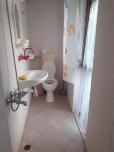 a small bathroom with a toilet and a sink at Варвара- Ятрус in Varvara