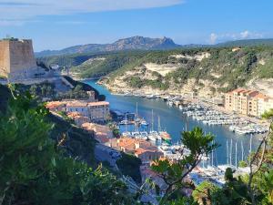 widok na port z łodziami w wodzie w obiekcie PROPRIANO T2 à 2 pas des plages et du port w mieście Propriano