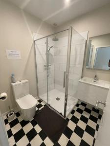 a bathroom with a shower and a toilet and a sink at Maison 4 chambres avec jardin in Liège