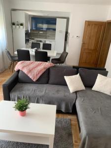 un soggiorno con divano e tavolo di Apartman Loni , Belišće a Belišće