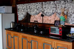 a kitchen with a counter top with a microwave and a counter top at Chale Herrmann Haus berghaus in Corupá +11 photos