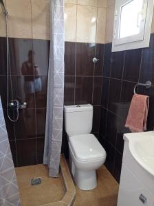 a bathroom with a toilet and a shower and a sink at KOLLITAKI in Selínia