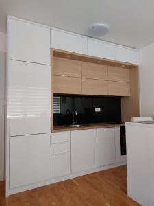 Virtuvė arba virtuvėlė apgyvendinimo įstaigoje Apartman Ema