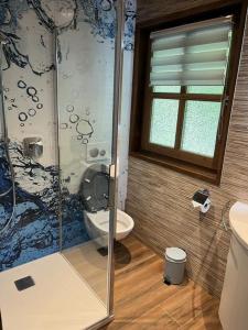 a bathroom with a toilet and a glass shower at Ferienhaus 39 Kratzmühle Altmühlthal in Kinding