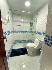 a bathroom with a toilet and a sink at Luxury & Private Apartment in Mendoza