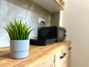 Kuchyň nebo kuchyňský kout v ubytování MMRent Rose Room + 9 fotografií