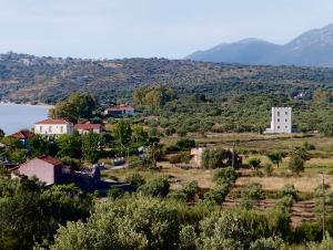 Φωτογραφία από το άλμπουμ του MANI Kamares Beach House στο Γύθειο