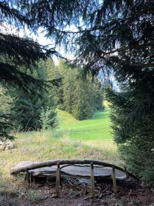 a wooden bench in the middle of a field at Beautiful Swiss chalet with breathtaking views and a sauna 