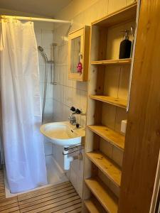 uma casa de banho com um lavatório e um chuveiro com uma cortina de chuveiro em Beautiful Swiss chalet with breathtaking views and a sauna 