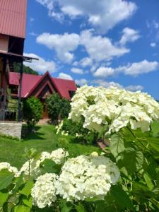Cottage "Karpatske Shale" في ياريمتشي: حوش من الزهور البيضاء أمام المنزل