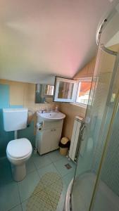 a bathroom with a toilet and a sink and a shower at Casa Eden in Sâmbăta de Sus