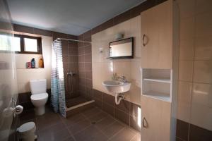 a bathroom with a toilet and a sink and a shower at Traditional stone house in Neokhórion +13 photos
