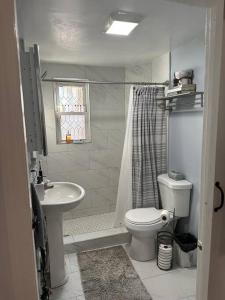 biała łazienka z toaletą i umywalką w obiekcie Farmhouse 2 bedrooms apartment w mieście Lynn